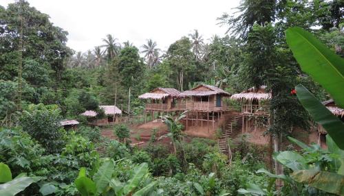 Tol House | PNG Family Empowerment Inc