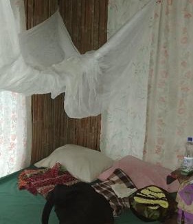Tol House | PNG Family Empowerment Inc