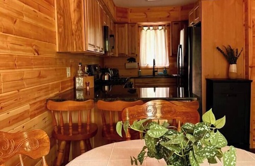 Briar Crest Woods House | Poconos Cabin - Private Lake Access, Fire Pit, Near Hiking with Fall Foliage