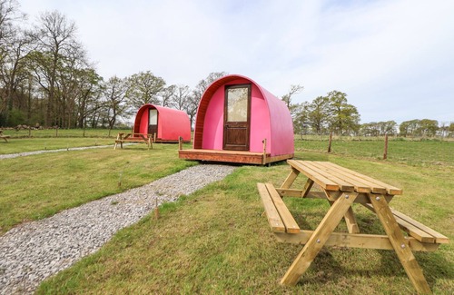 Saint Asaph Cottage | POD 3, pet friendly, country holiday cottage in St Asaph