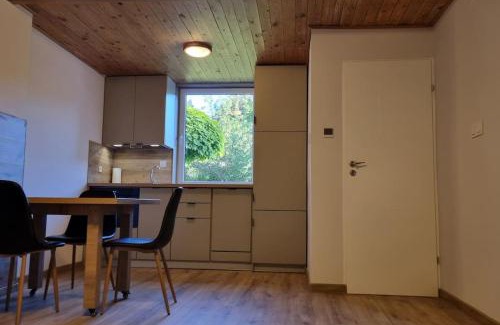 Pawlowek House | pod jabłonią