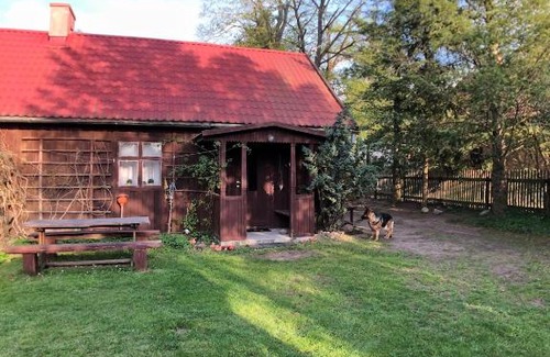 Zgon Cabin | Pod lipą