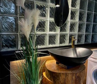 Koscierzyna Apartment | Pod Lwem