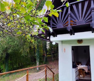 Staro Petrovo Selo Ski Chalet | Pod zelenim krovom