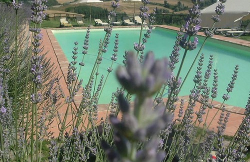 Toiano Other | Podere della Collina