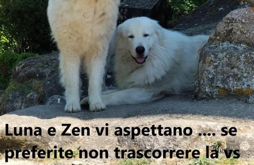 Torniella Apartment | Podere I Casaloni - La casa nel bosco