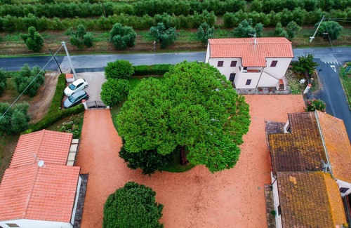 Castagneto Carducci House | Podere 'I Daini' - App. C