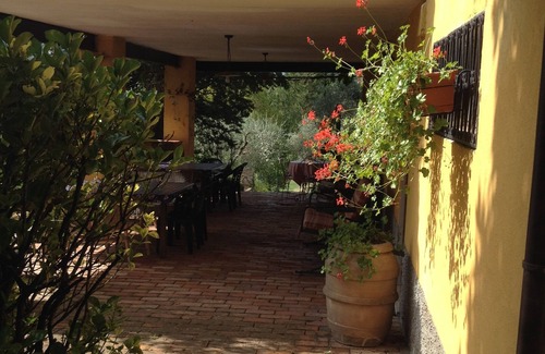 Gassano Apartment | Podere La Piana - Olivo apartment