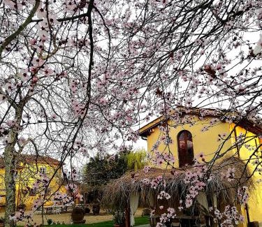 Cicogna House | Podere Piandarca