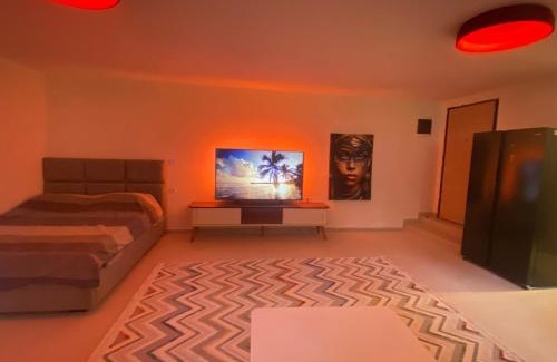 Downtown Apartment | Podgorica 23