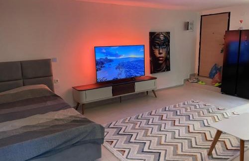 Downtown Apartment | Podgorica 23