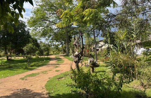 Naro Moru Cabin | Podocarpus cottages
