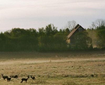 Gizycko House | Poganty - Stodoła