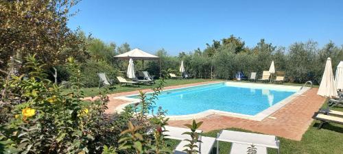 Acquaviva Apartment | Poggio Olivo