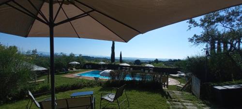Acquaviva Apartment | Poggio Olivo