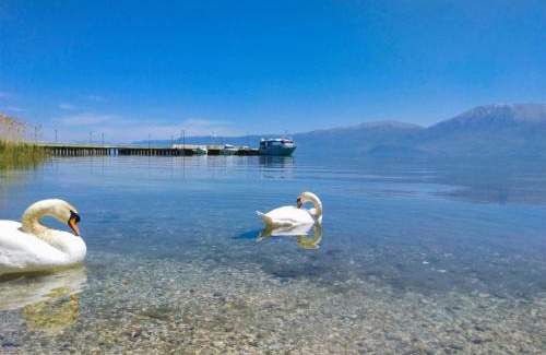 Pogradec Apartment | Pogradec Luxe Apartment