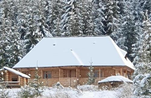 Neagra Sarului Cabin | Poiana cu Sinziene