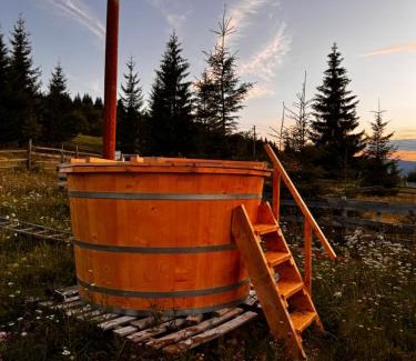 Neagra Sarului Cabin | Poiana cu Sinziene