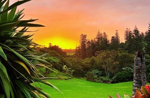 Burnt Pine Cottage | Poinciana Cottages