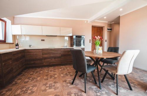 Podoli Apartment | POINT flat, beautiful view from terrace to Prague Castle