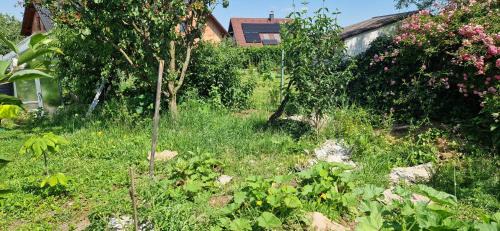 Ceske Budejovice 7 House | Pokoj v rodinném domě Severní