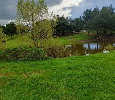 Trabki Wielkie Hotel | Pokoje gościnne Trąbki Małe k.Gdańska