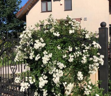 Lidzbark Welski House | Pokoje goscinne na Wodnej