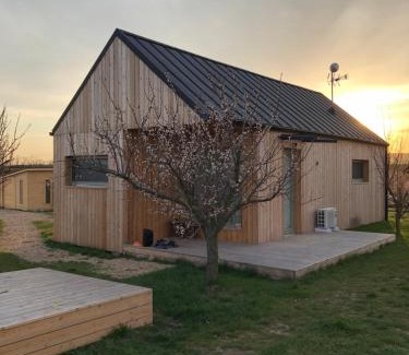 Novy Saldorf-Sedlesovice Apartment | Polevíno