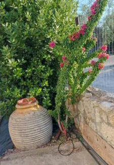 Vlachiotis House | Politimis house