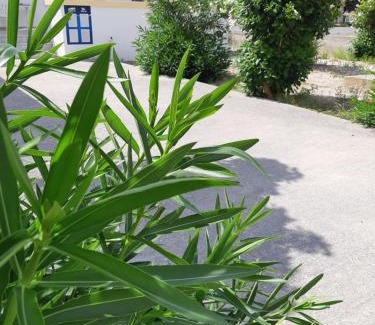 Kefalos Apartment | POLITIS STUDIOS