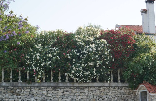 Tremes House | Pombo House
