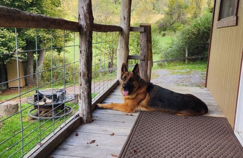 Lewisburg Cabin | Pond View Cabin in Wild Wonderful WV