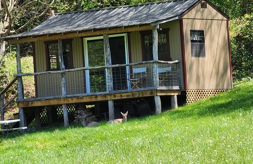Lewisburg Cabin | Pond View Cabin in Wild Wonderful WV