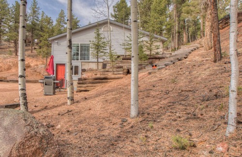Florissant Apartment | Ponderosa Mtn. Suite - Hiking, Rustic Charm