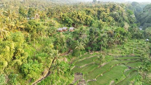 Bayan Hotel | Pondok Sedi Bungalow
