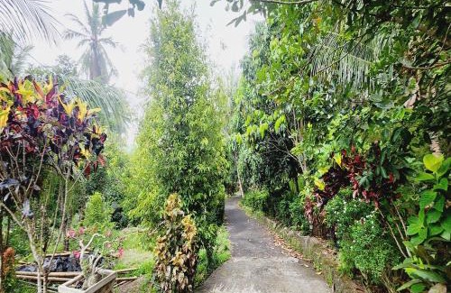 Likupang House | Pondok Wisata Tasya Marawuwung