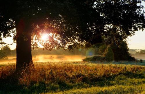 Chelmsford Hotel | Pontlands Park Hotel