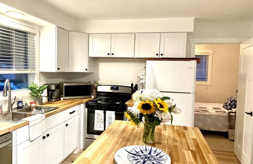 Norton Shores House | PONTOON BOAT NOW INCLUDED! KAYAKS! Waterfront Cottage on Mona Lake with HOT TUB!