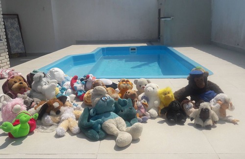 Jardim Imperador House | Pool and Barbecue!