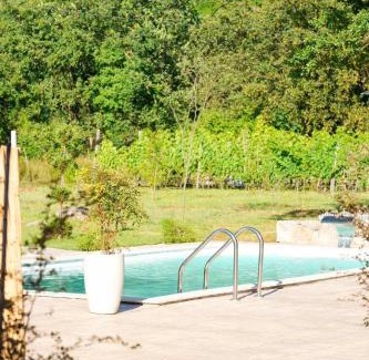 Podgorica Capital City House | Pool House Paun