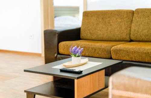 Podgorica Capital City House | Pool House Paun