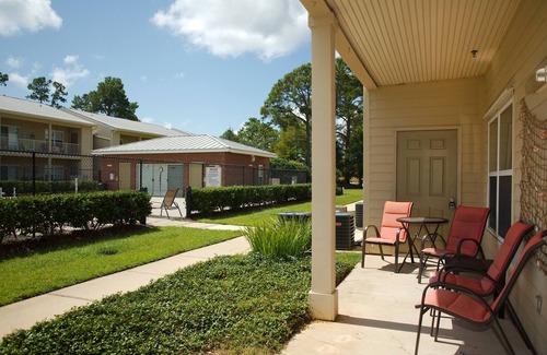 Gulf Shores Condo | Pool, Sun and Palm Trees on the Gulf 311