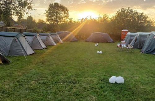 Schelle Other | Pop Up Camping & hotel Tomorrow's Paradise & Private Transport TML