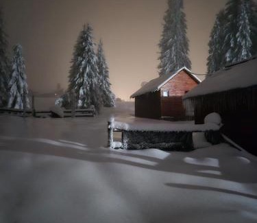 Padis House | Popas Turistic Padis