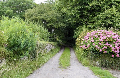 Haverfordwest Cottage | Popehill Farm Apartment