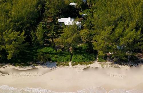 North Palmetto Point House | Poponi House home