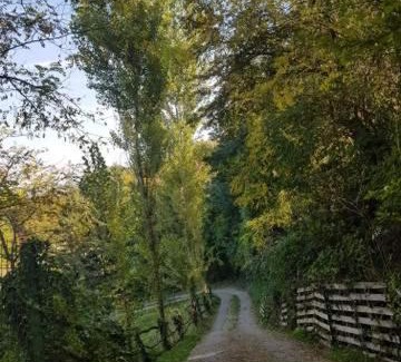 Banostor House | "Popov VRT" Banoštor - kuća-vikendica na Dunavu-Fruskoj Gori