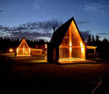 Beserovina Ski Chalet | Popovic SPA house Tara II