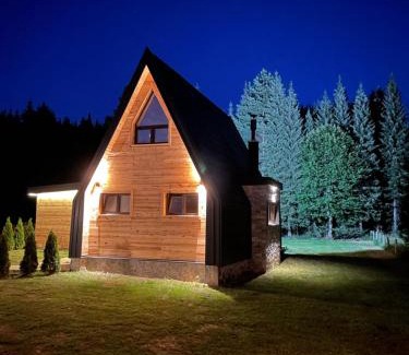 Beserovina Ski Chalet | Popovic SPA house Tara II