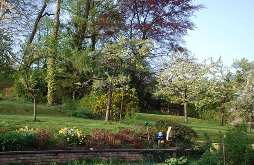 Scharrachbergheim-Irmstett Apartment | Poppies - Beautiful cozy cottage on the Wine Route